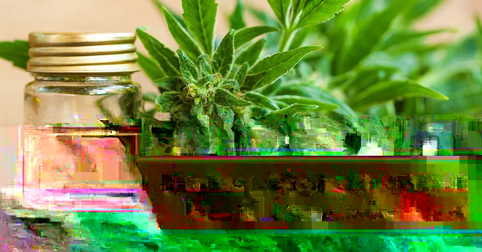 Fitness Benefits of CBD Oil