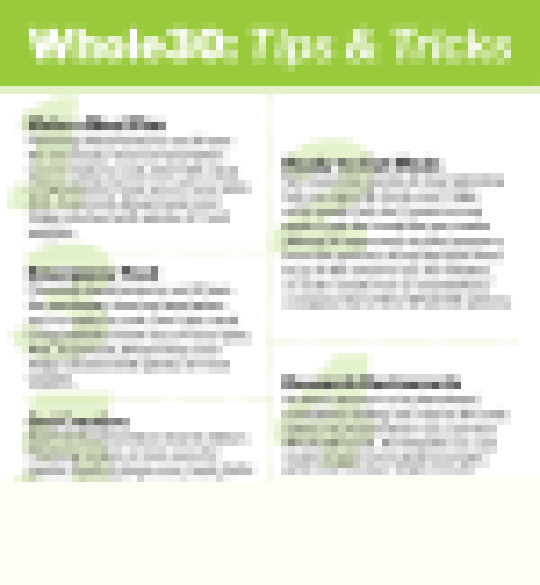 Whole30 Client Handout