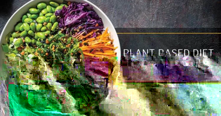 ISSA, International Sports Sciences Association, Certified Personal Trainer, ISSAonline, Want to Try a Plant-Based Diet? Here Are the Pros and Cons